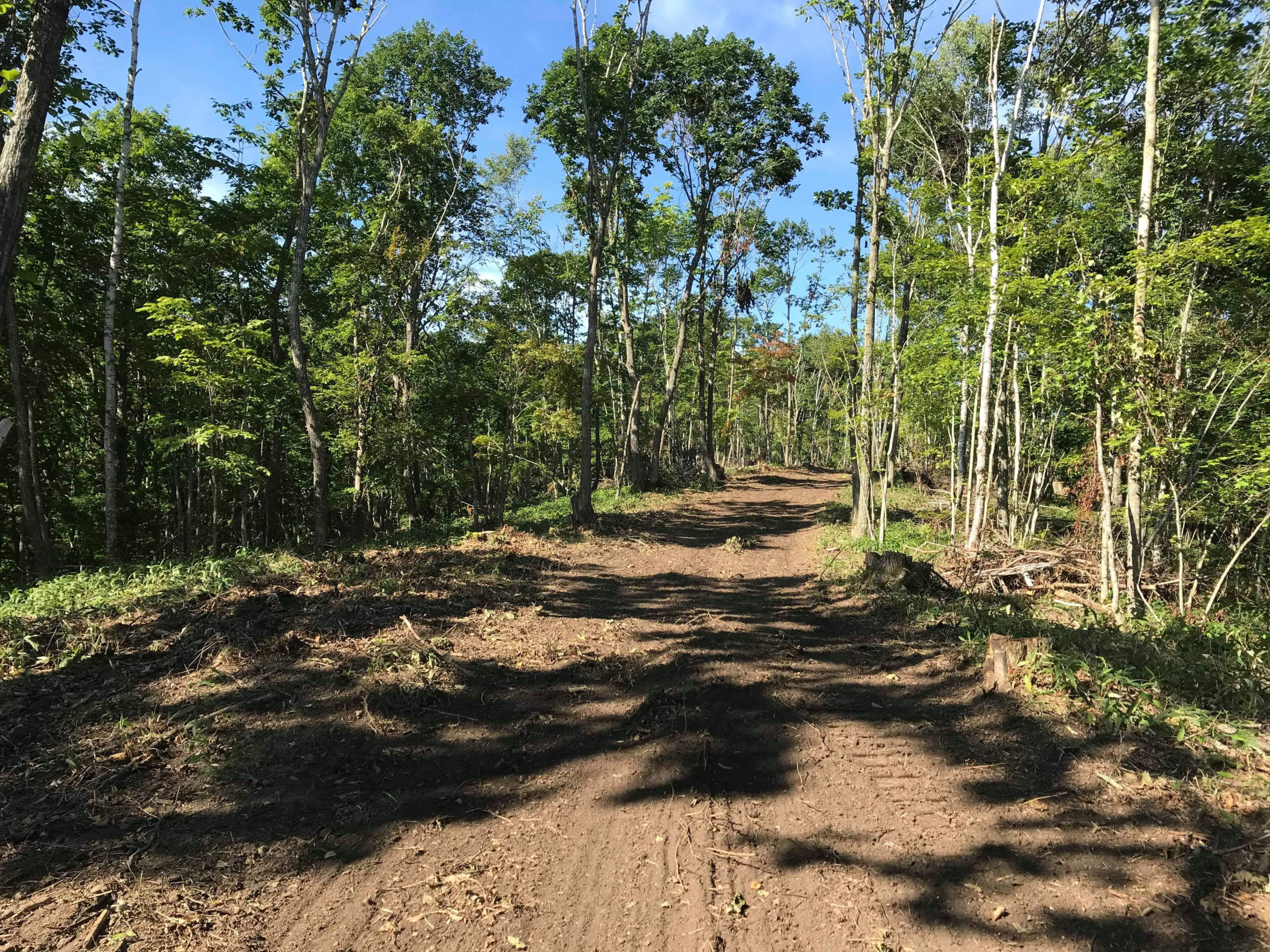 十勝の山を守り炭を焼く