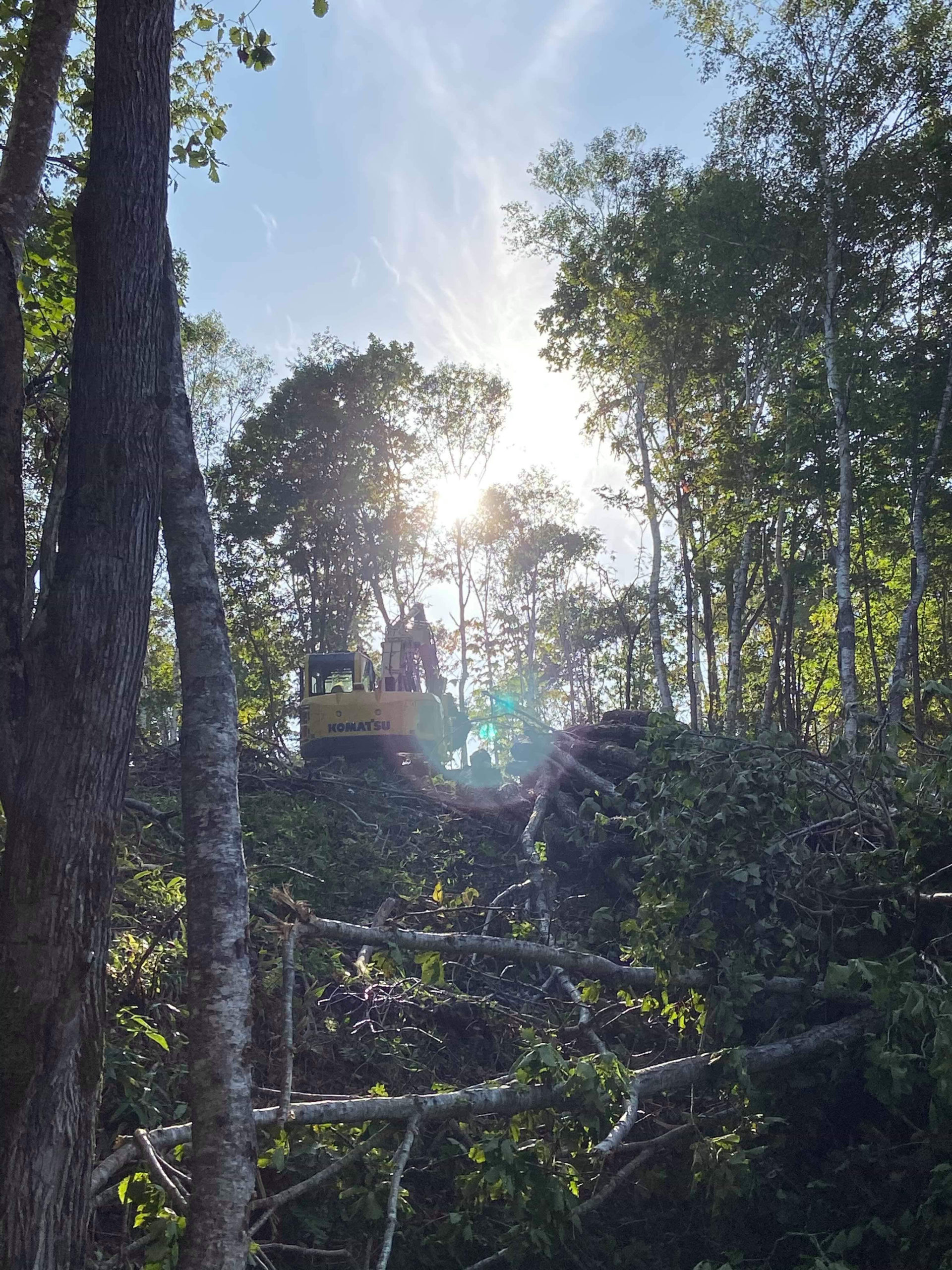 十勝の山を守り炭を焼く