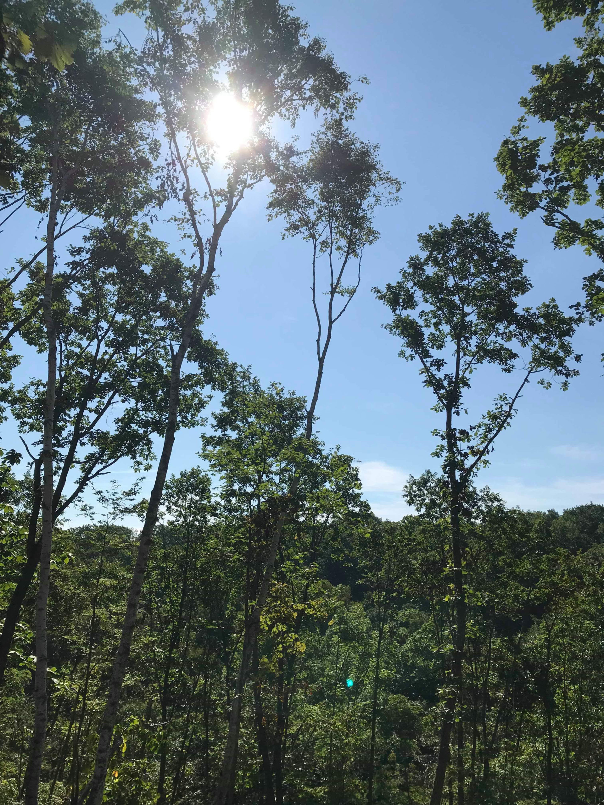十勝の山を守り炭を焼く