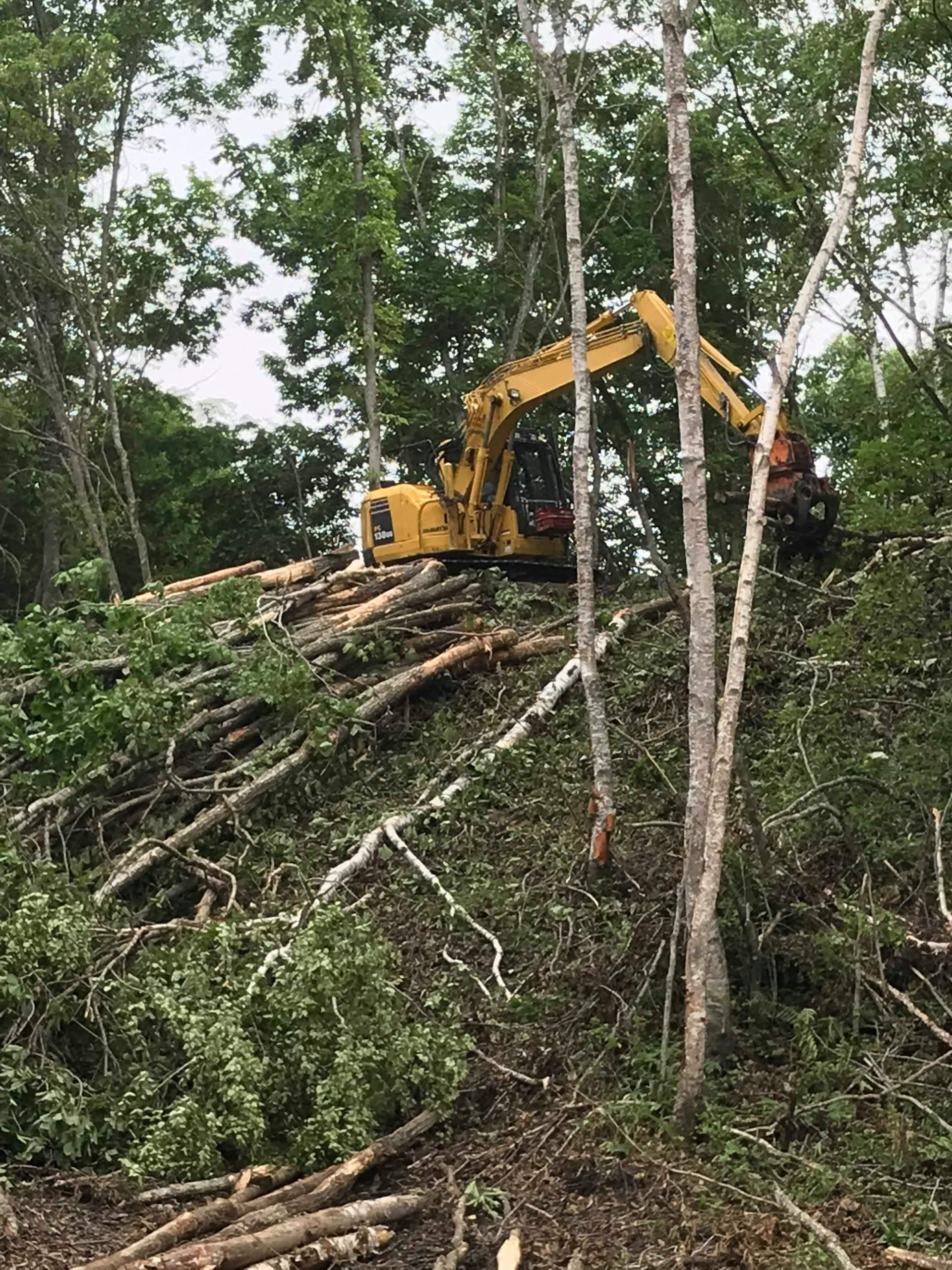 十勝の山を守り炭を焼く